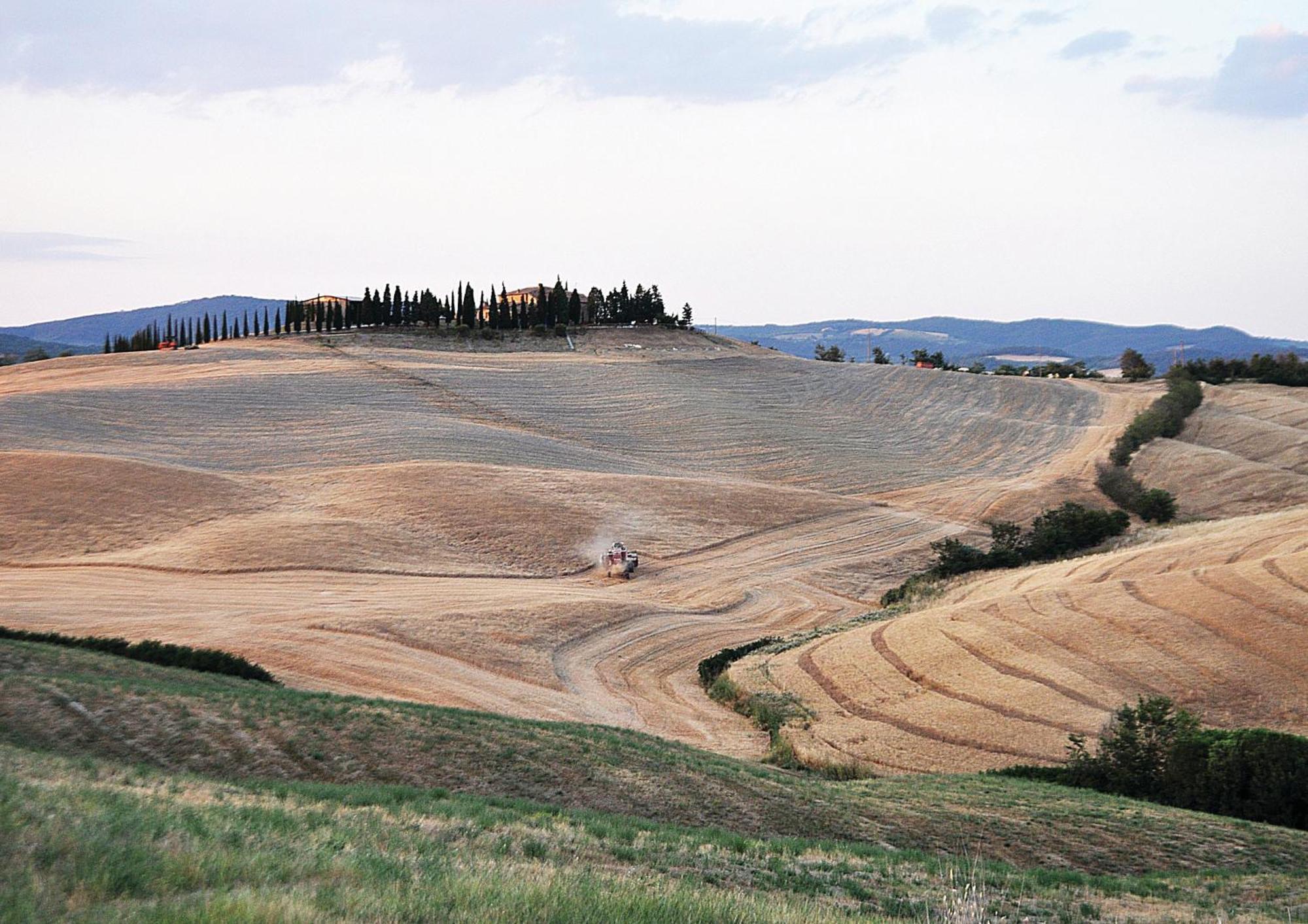 Agriturismo Bonello Villa Pienza Exterior photo