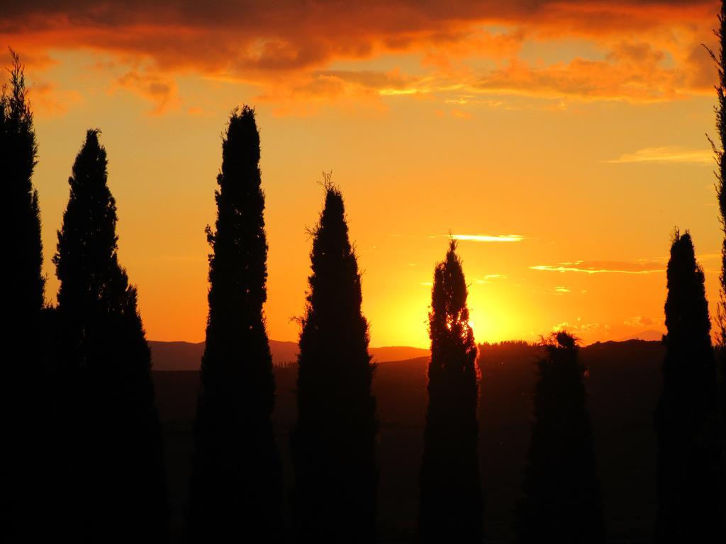 Agriturismo Bonello Villa Pienza Exterior photo